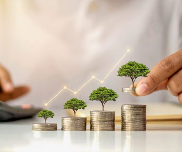 Wealth-Management-scaled-1